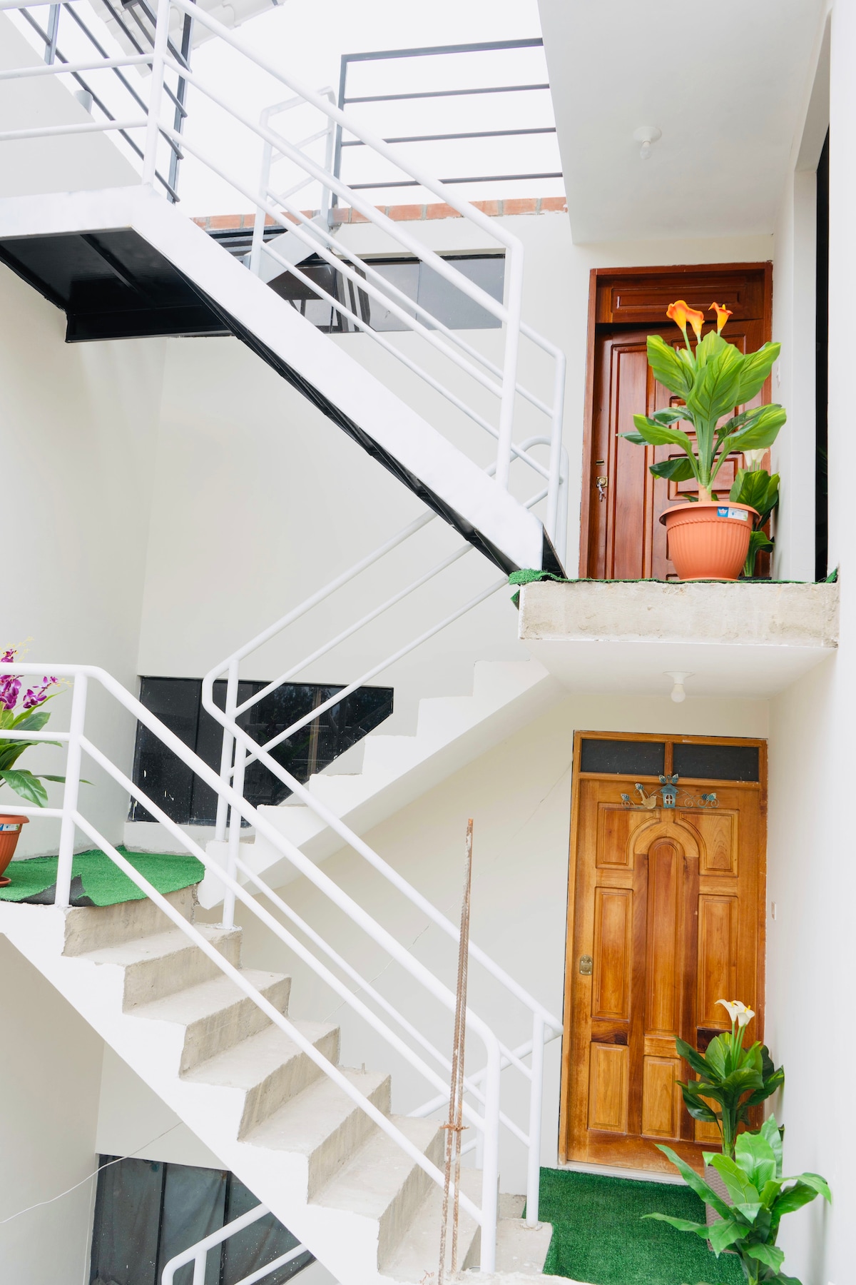 An interior staircase is shown, featuring smooth white railings and concrete steps. A wooden door is visible at the bottom of the stairs. Potted plants, including vibrant green leaves and yellow flowers, are placed at different levels, adding a touch of nature to the space.