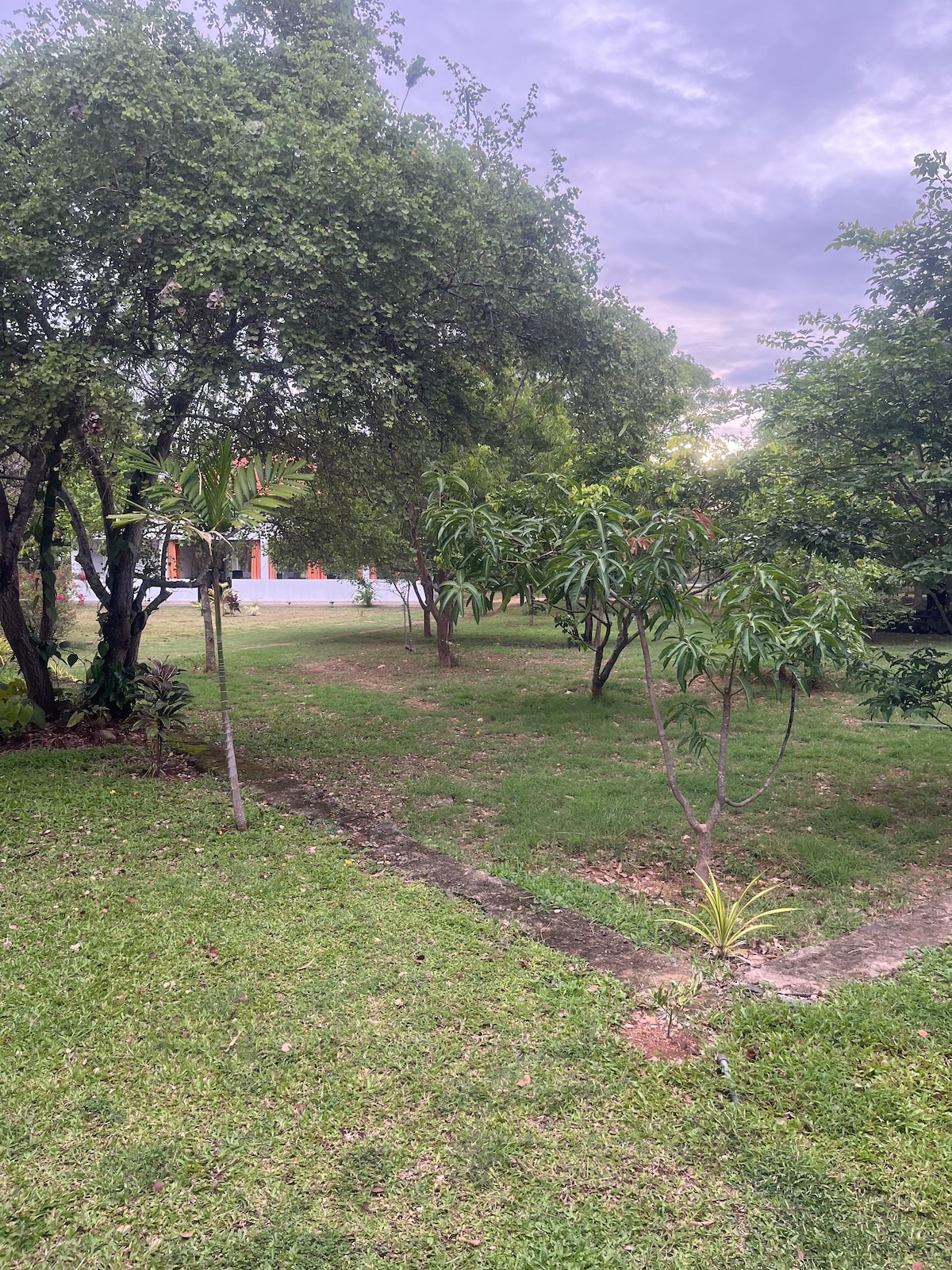 A lush garden area is present, featuring a variety of trees and shrubs. Grassy patches create an inviting landscape, while a well-maintained path meanders through the greenery. The gentle lighting and open space offer a serene atmosphere.