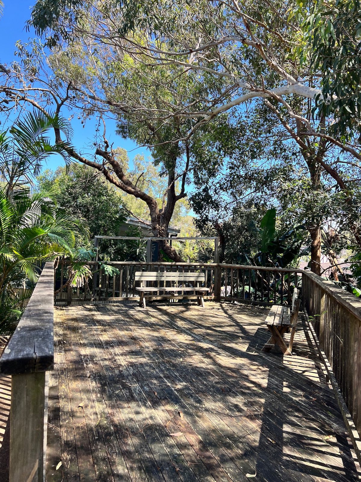 An outdoor deck area is depicted, surrounded by lush greenery and tall trees. The wooden deck features a central table with seating benches and is bathed in sunlight, creating a serene and natural setting.