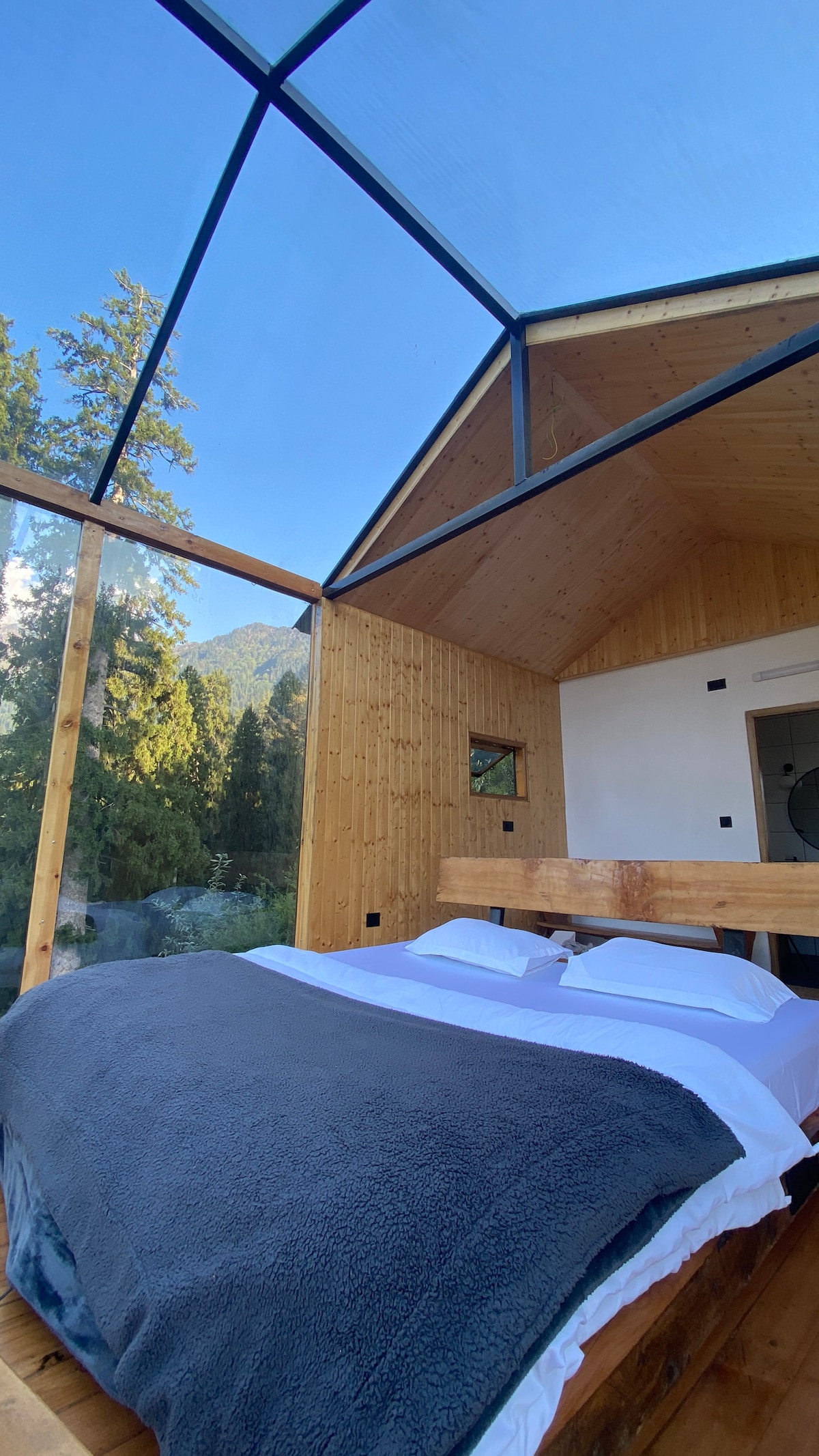 A cozy sleeping area features a spacious bed covered with a dark blanket. The glass ceiling offers unobstructed views of the blue sky, while wooden walls create a warm, rustic feel. Surrounding trees are partially visible through the expansive glass walls.
