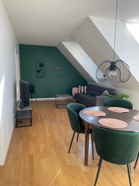 Apartment in the city center