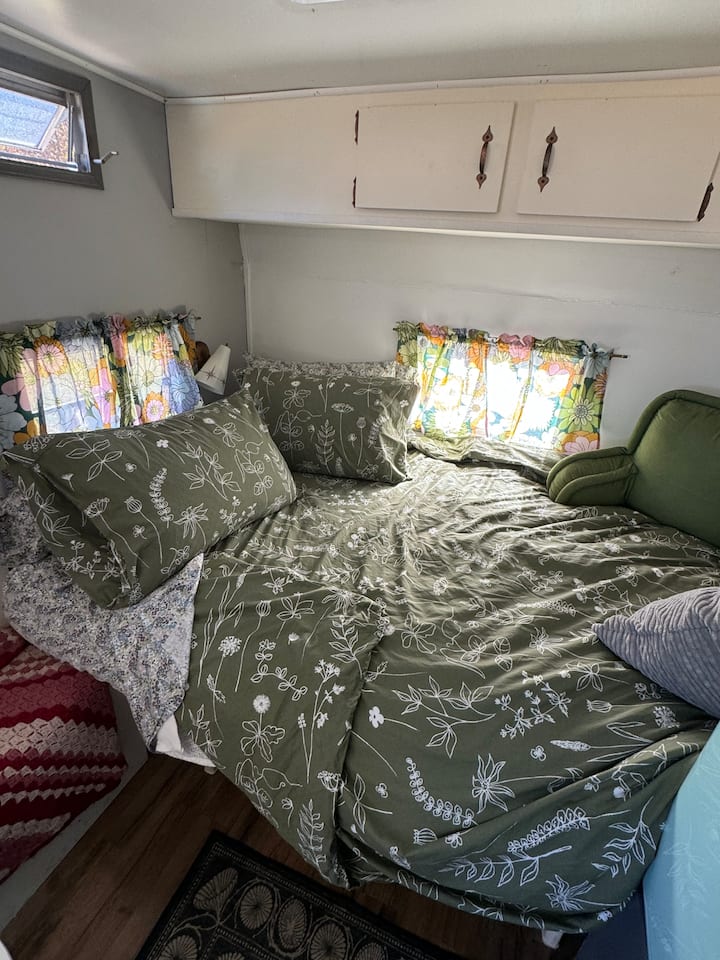 המיטה של פולי מלאה+. כל כך חמים עם מצעי כותנה ושמיכות פוך רכות.  