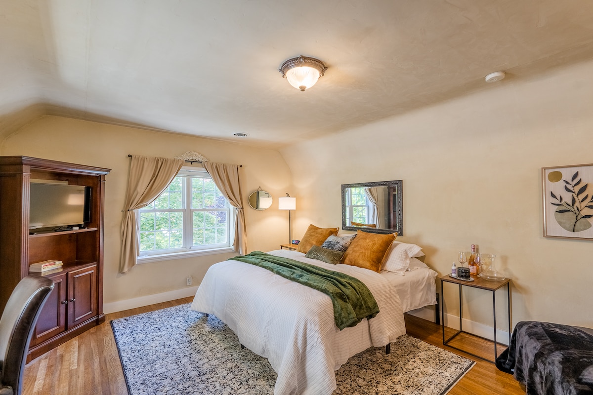 A spacious bedroom features a large bed adorned with decorative pillows and a cozy blanket. Natural light enters through a well-draped window, illuminating a stylish area rug. A small television is mounted on a wooden cabinet, and a side table holds glassware and a decorative item.
