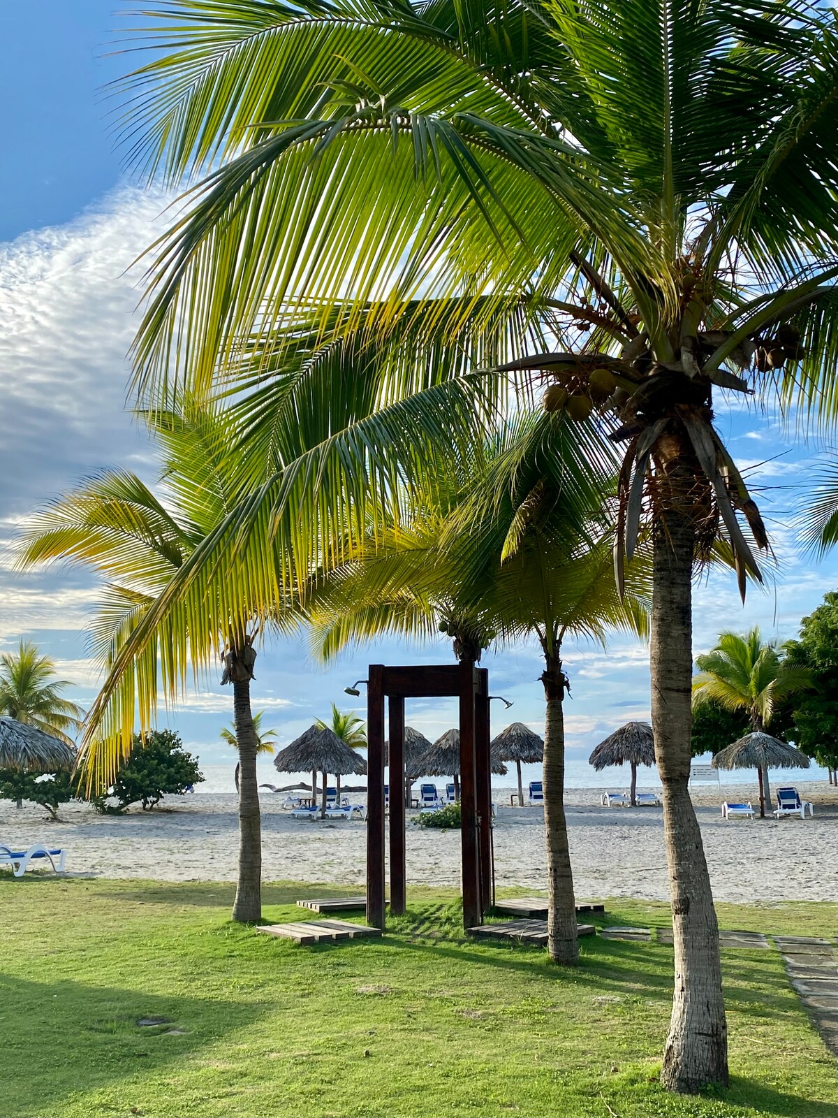 Palm trees rise from a lush green lawn, offering shade in front of the beach. A wooden structure sits among the trees, with thatched umbrellas visible in the background. The sandy shore stretches towards the water, creating a serene coastal view.