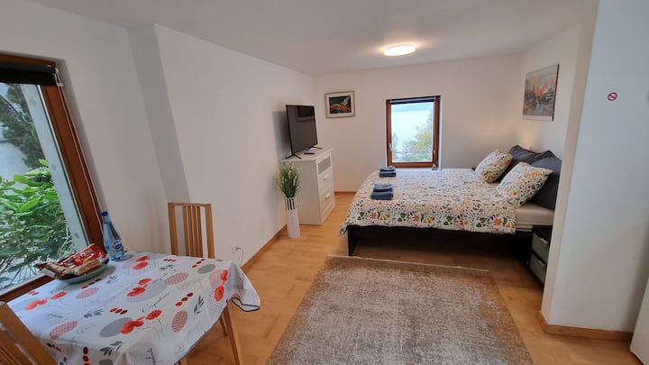 Chambre Indépendante Avec Salle De Bain Privative - スイス モントルー