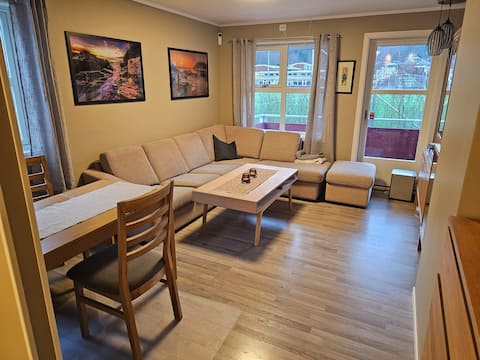 Cozy apartment for rent near town
