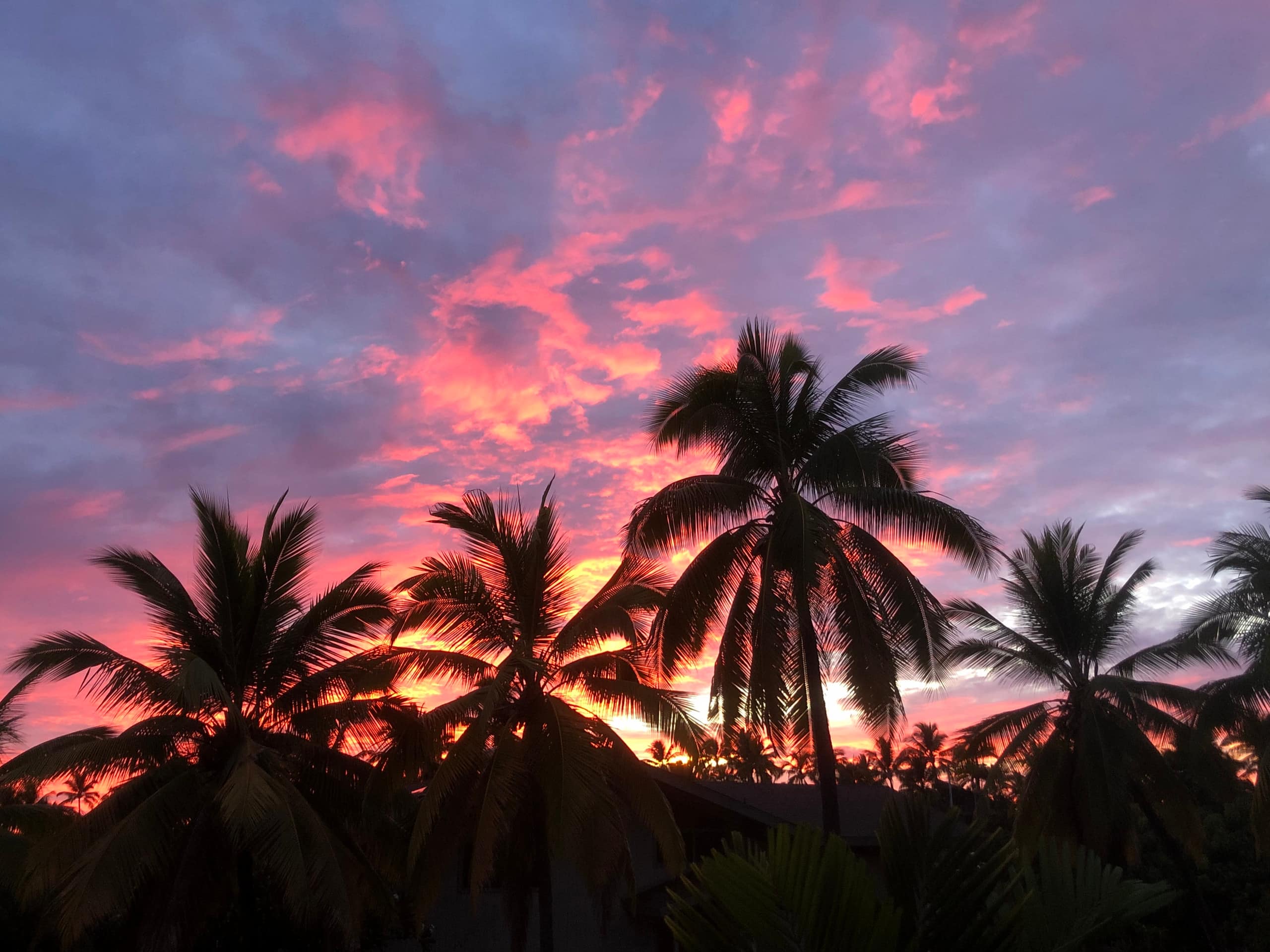 Home in Kailua-Kona · ★4.9 · 3 bedrooms · 5 beds · 2.5 baths - Image 47