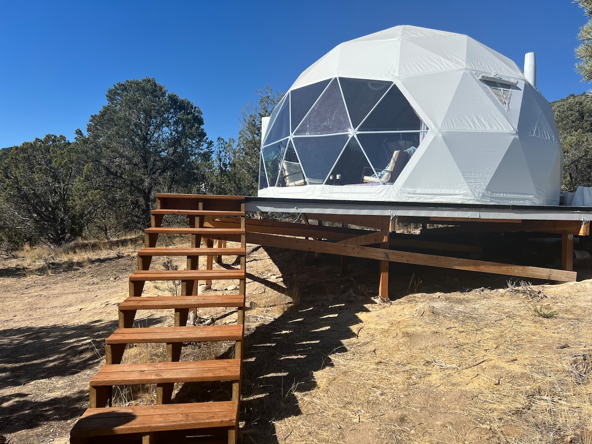 An elevated geodesic dome is presented, featuring a series of large, hexagonal windows allowing natural light to enter. A wooden staircase leads up to the dome, surrounded by a natural landscape of trees and shrubs, offering a connection to the outdoor environment.
