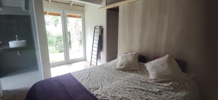 Habitación 1