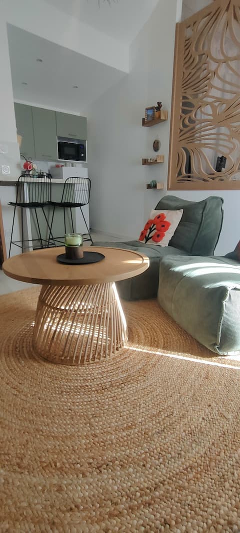 Top performing Airbnb: Atypical studio in the center in Mâcon