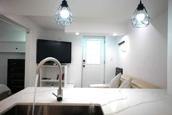 Morpheus Basement Apartment - 哈密爾頓