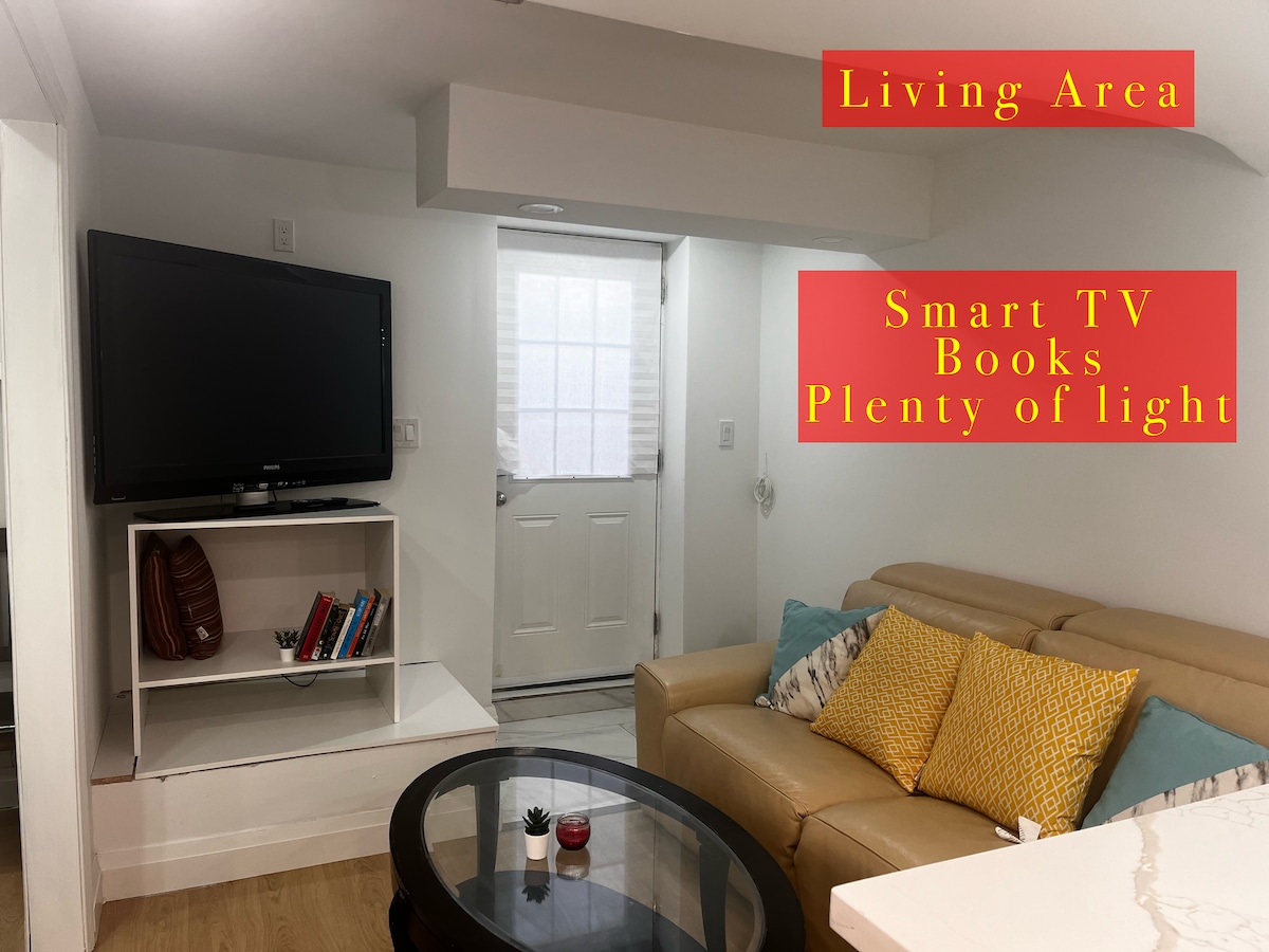 Sala de estar equipada con sofá, TV inteligente y libros. Tiene mucha luz. 