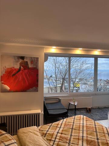 SeaView/Jacuzzi/Hagia Sophia/Blue Mosque/2 AC Room gallery image 5