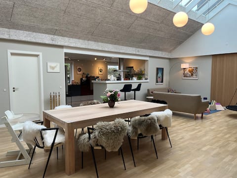 Large and cozy house in Odder Center