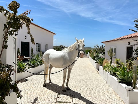 Casa PaloVerde, Ocean Farm, Pool & Sauna, Ericera