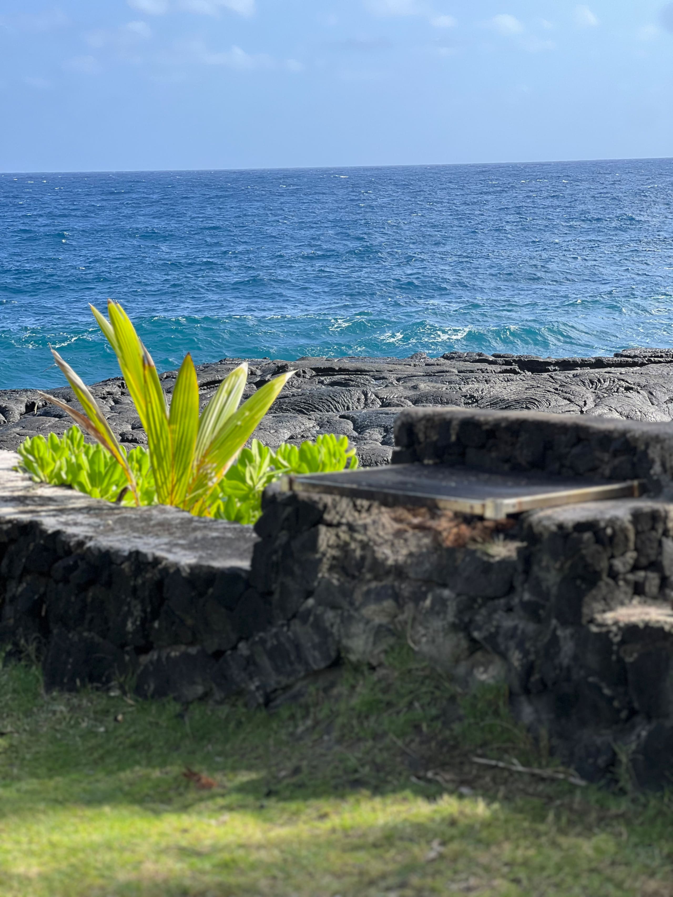Home in Keaau · ★4.9 · 3 bedrooms · 3 beds · 2 baths - Image 69