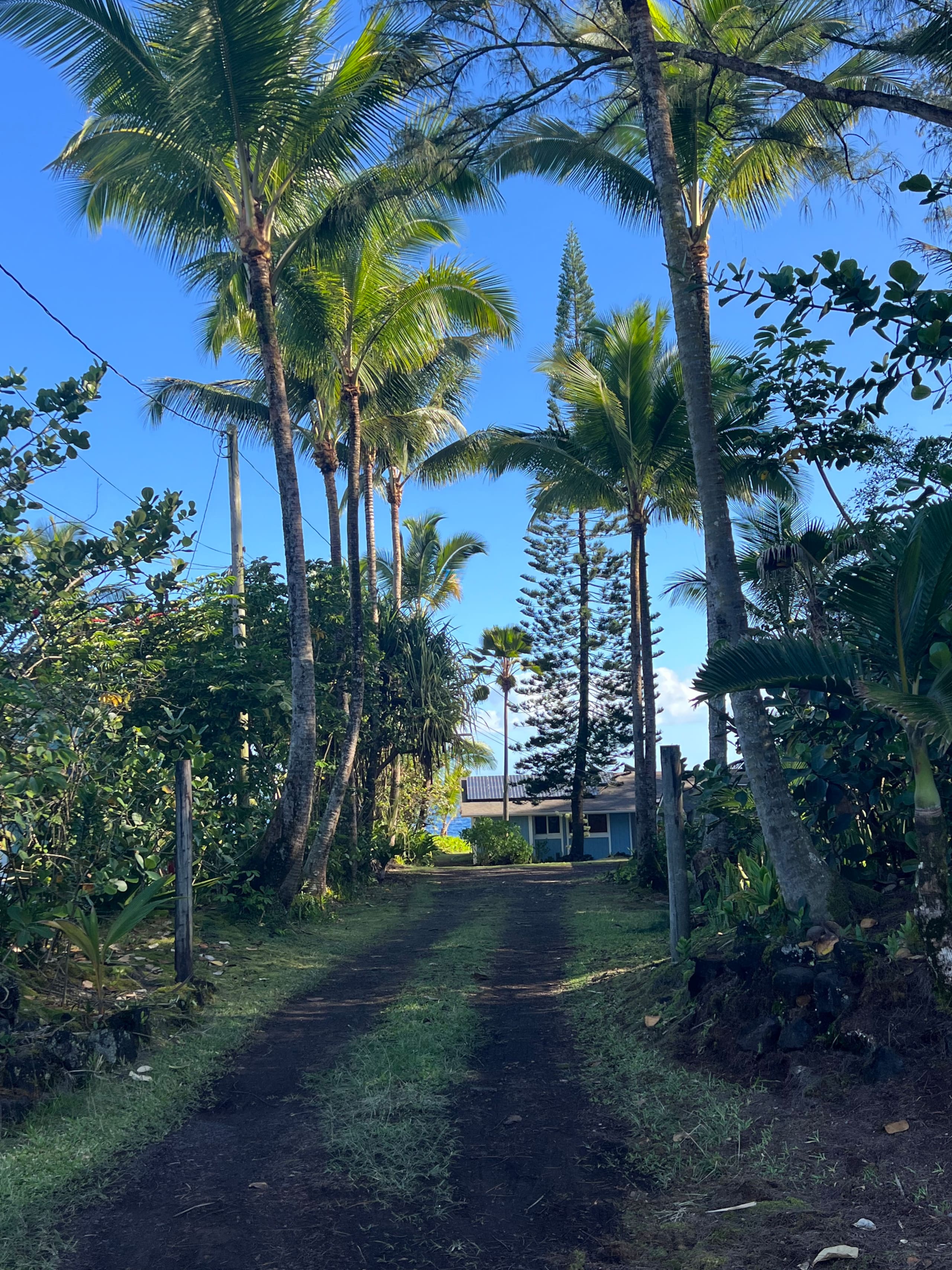 Home in Keaau · ★4.9 · 3 bedrooms · 3 beds · 2 baths - Image 72
