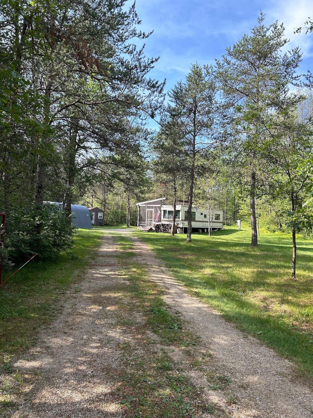 A gravel driveway is flanked by tall trees, leading to a cozy cabin surrounded by greenery. Sunlight filters through the leaves, creating a serene atmosphere. A small shed is visible to the left, complementing the natural setting.