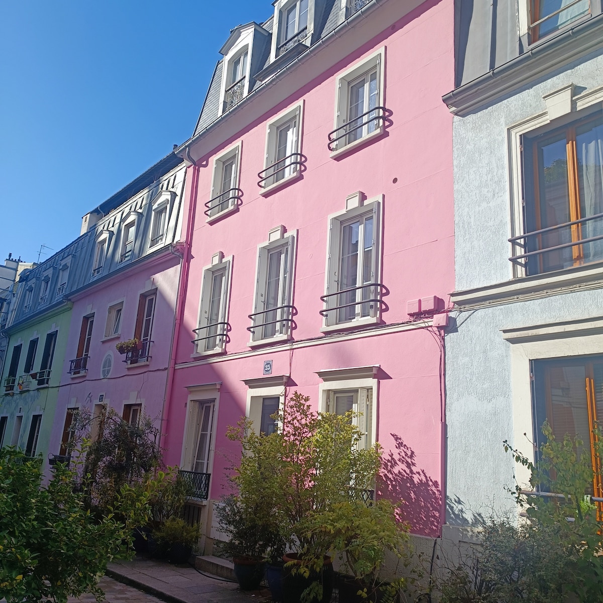 A charming pink building sits prominently among neighboring structures, featuring multiple windows adorned with black wrought-iron railings. Green foliage and small plants are positioned at the base, providing a natural contrast to the colorful facade. Bright blue skies create a clear background.