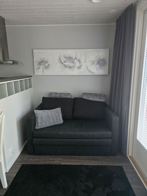 Successful Airbnb property: Studio by the lake in a detached house in Mikkeli