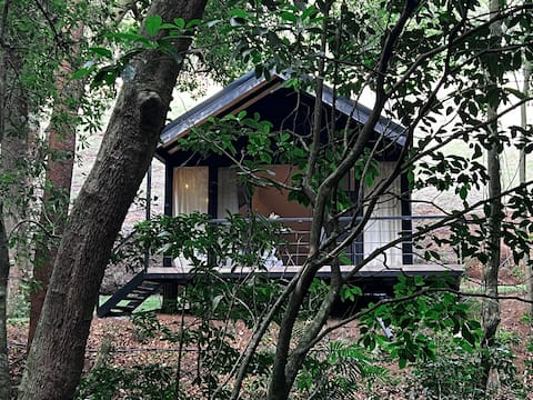 Cabin in the Mountains
