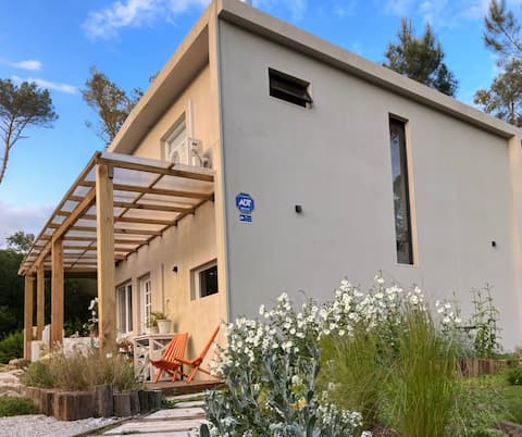 Modern house with large land