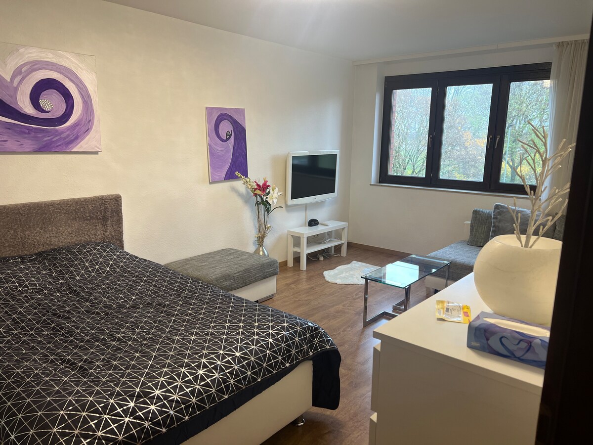 Propiedad de Airbnb exitosa: a House with Rhein View en Hammfeld