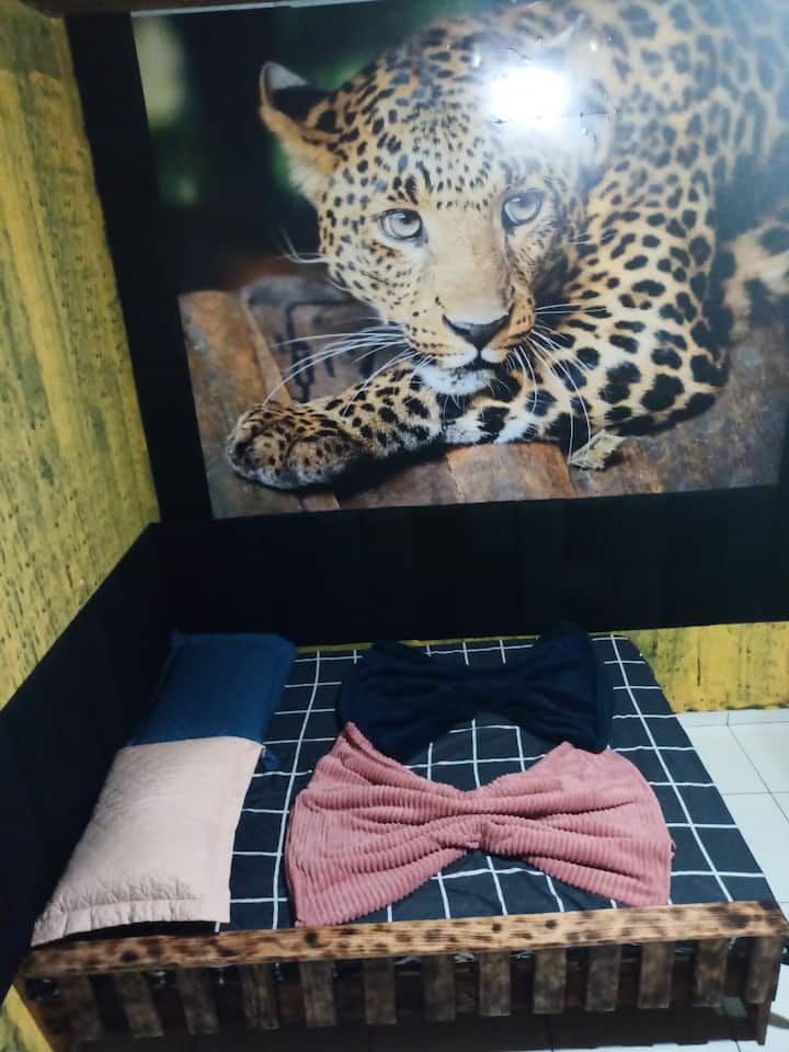 Full Thematic Private Houses For Rent In Cuiab Mato Grosso Brazil full-thematic-private-houses-for-rent-in-cuiab-mato-grosso-brazil