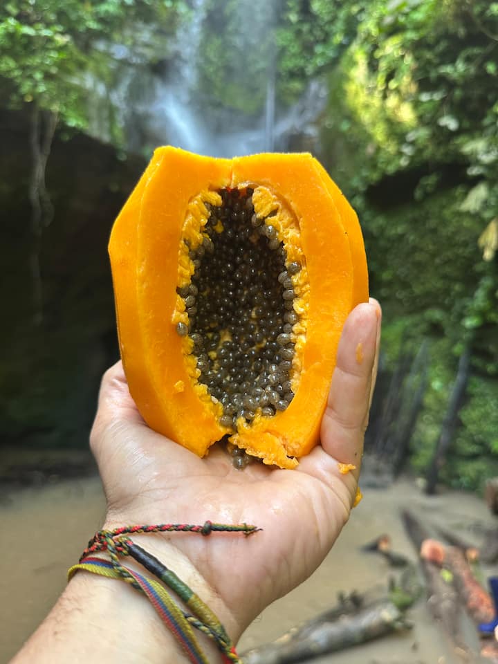 Corazón De La Selva Waorani – Amazonía Auténtica - Orellana
