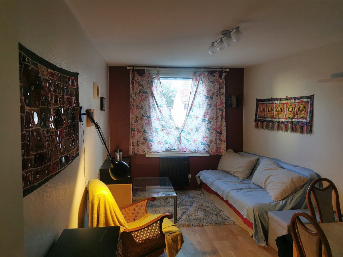 Successful Airbnb property: 2-room apartment in Koenigshoffen