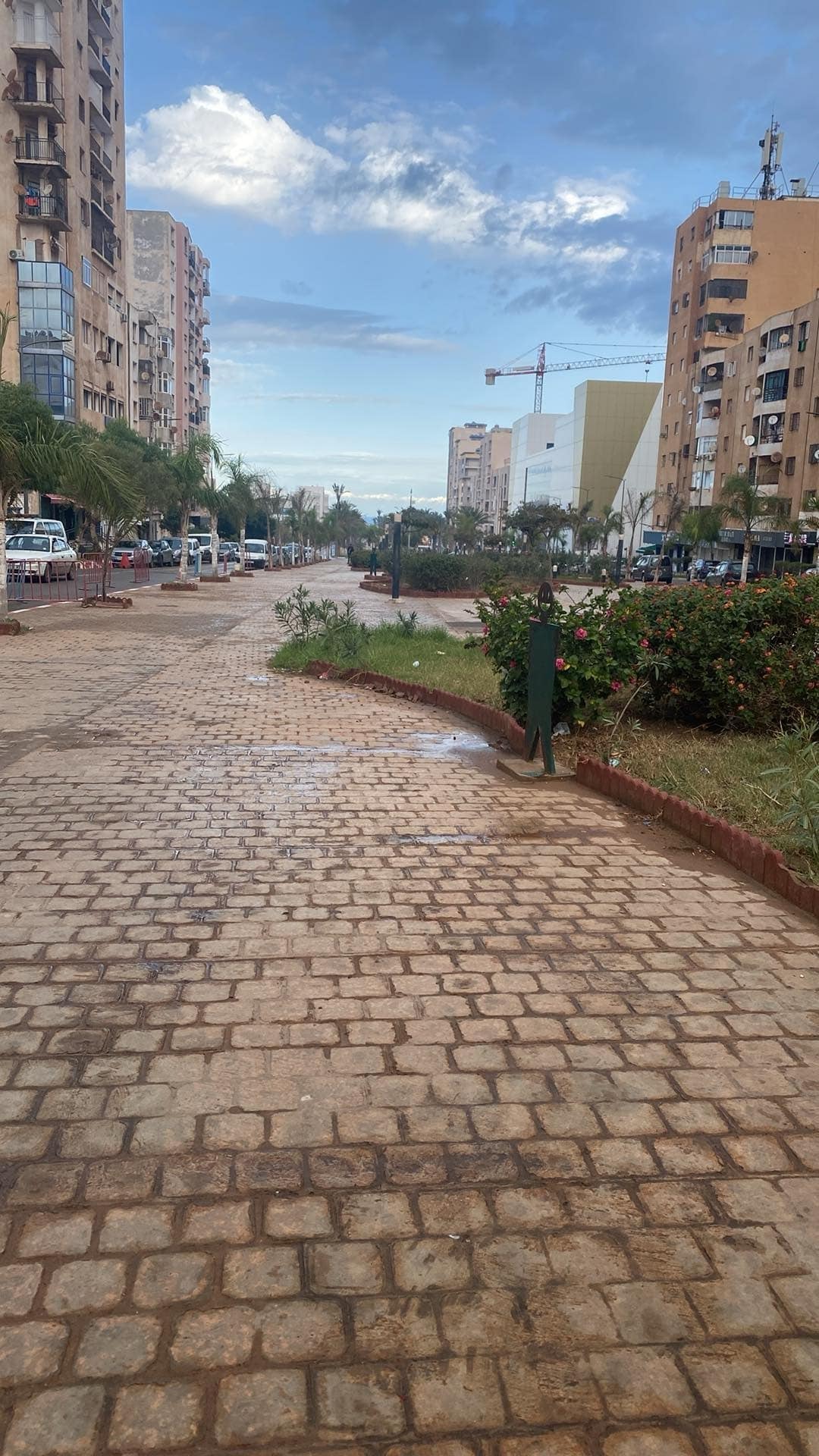 A wide, paved pathway is lined with small shrubs and palm trees. The street appears to be bustling with activity, featuring buildings on either side. A few parked vehicles and a construction crane are visible in the distance, with a clear sky above.