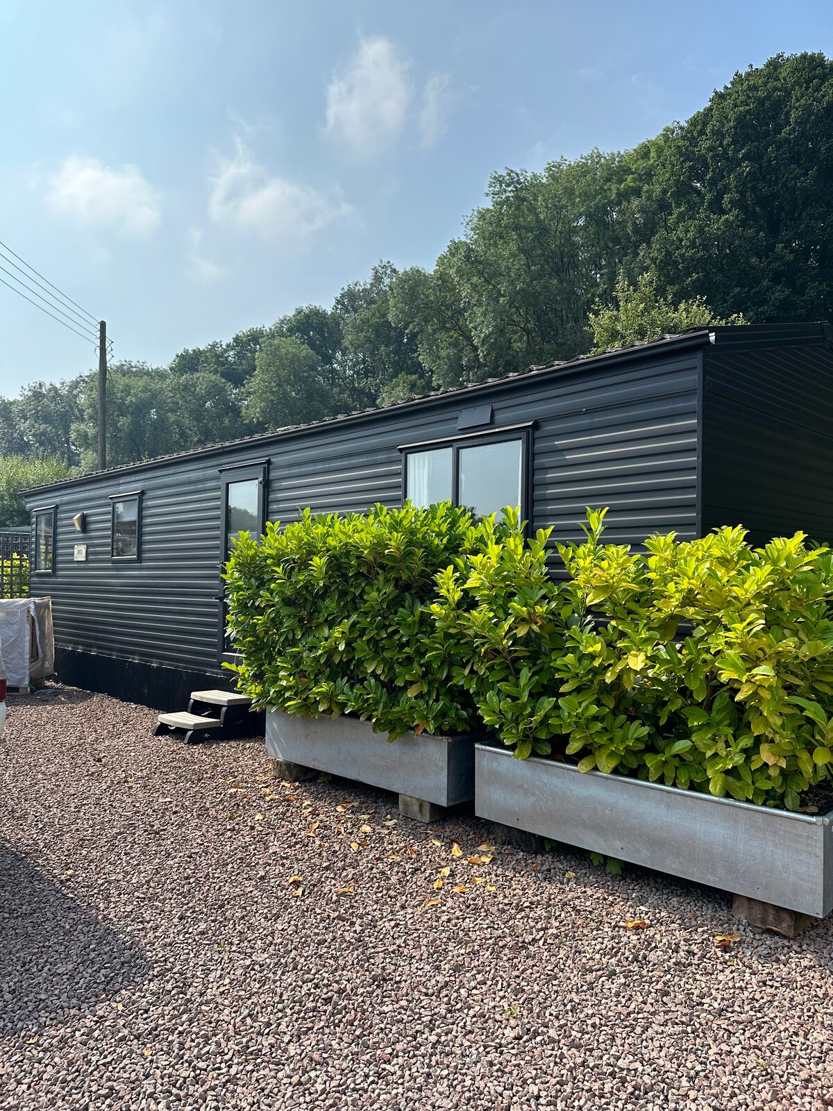 A modern black exterior home is positioned within a landscaped area, surrounded by lush green shrubs in metal planters. Gravel is visible in the foreground, with trees providing a natural backdrop, creating a tranquil atmosphere.