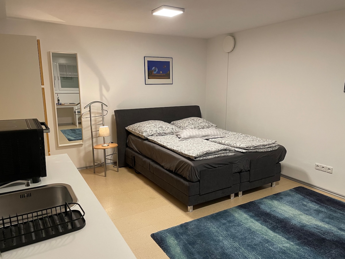 A spacious bedroom is furnished with a large bed featuring a patterned comforter. A small lamp sits on a bedside table beside the bed. A mirror and a kitchenette are visible in the background, with blue and cream-colored rugs on the floor.