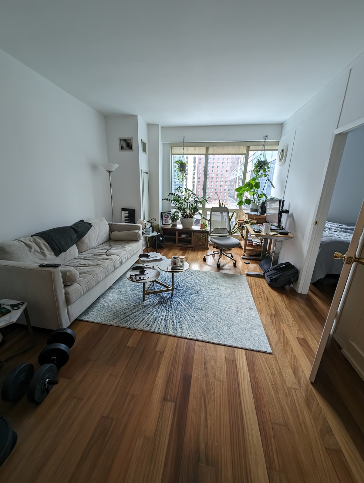 Sunny 1 bedroom in Hells Kitchen - Apartments for Rent in New York, New ...