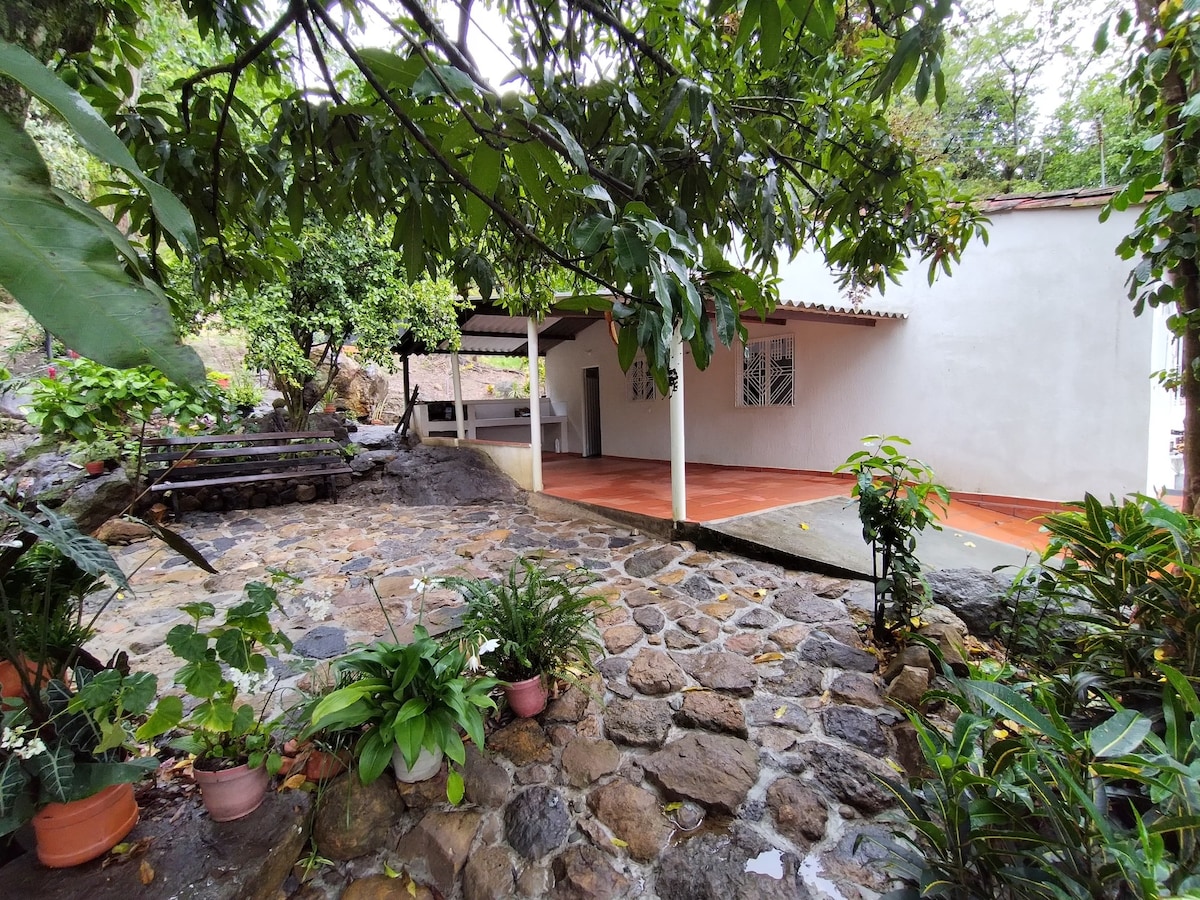 An outdoor area showcases a stone pathway leading to a white, minimalist cabin surrounded by lush greenery. Potted plants are arranged around the space, and a wooden seating area is visible under a covered porch, providing a shaded spot for relaxation.