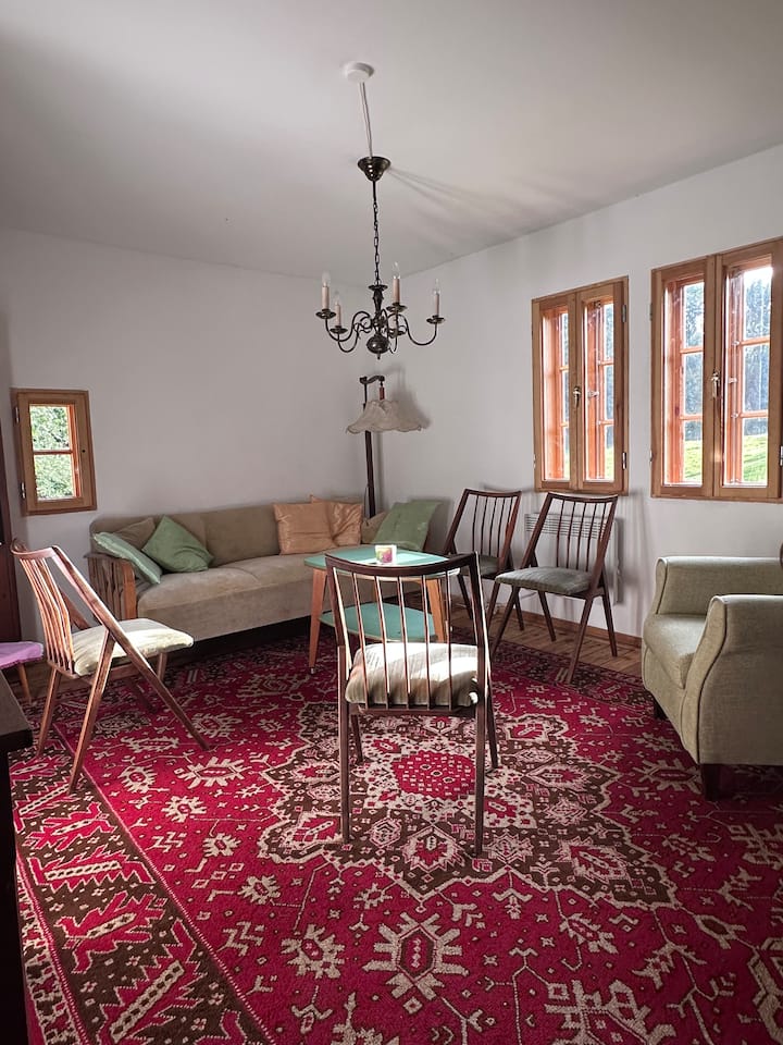 Ferienhaus Fachwerkhäuschen Bauernhof Chalet Sauna - Eisenberg