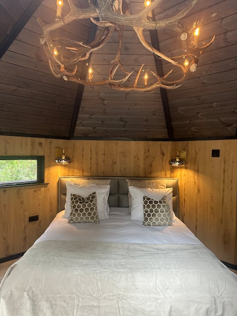 The Forest pit suite