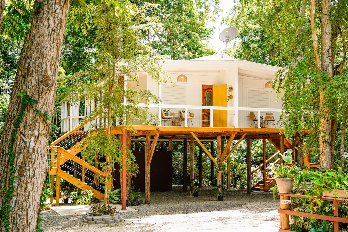 This elevated wooden structure features a spacious balcony with outdoor seating, surrounded by lush greenery. Accessible wooden stairs lead up to the entrance, which is framed by large windows allowing natural light to filter in.