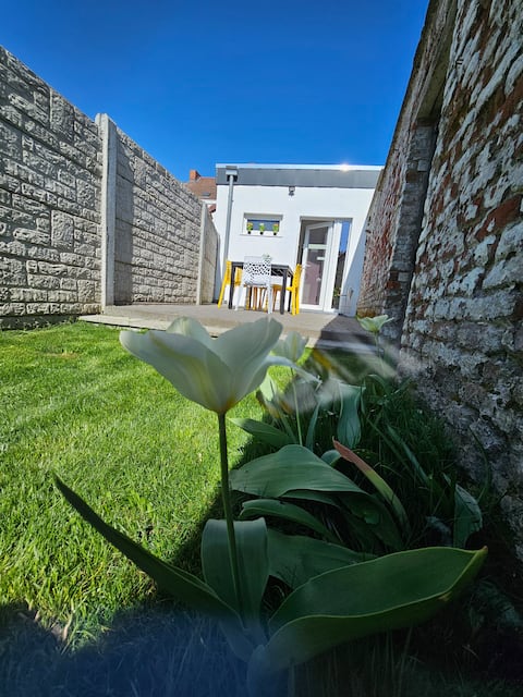 Nelson and Hannah's Nest