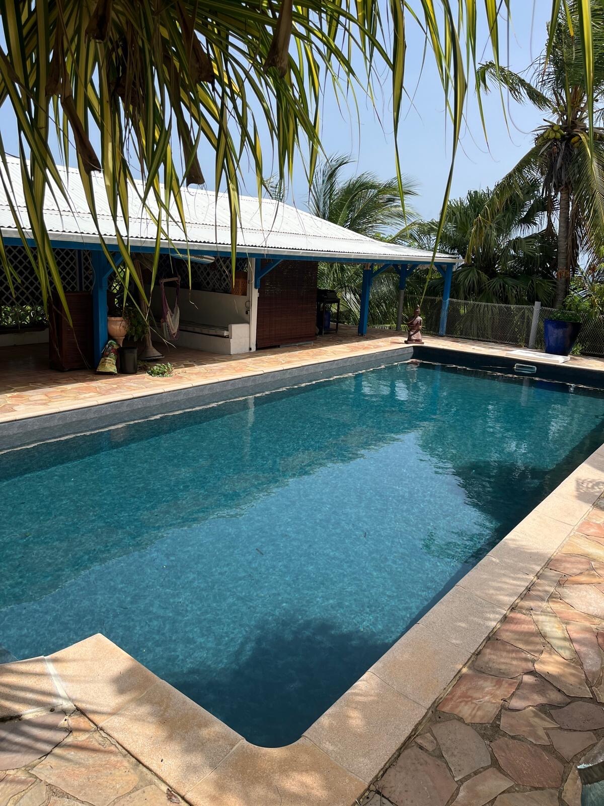 A serene salt-water pool is framed by tropical vegetation and natural stone patio. The pool's clear blue water reflects sunlight, while a covered seating area is visible in the background. Palm leaves gently sway, creating a peaceful atmosphere around the space.