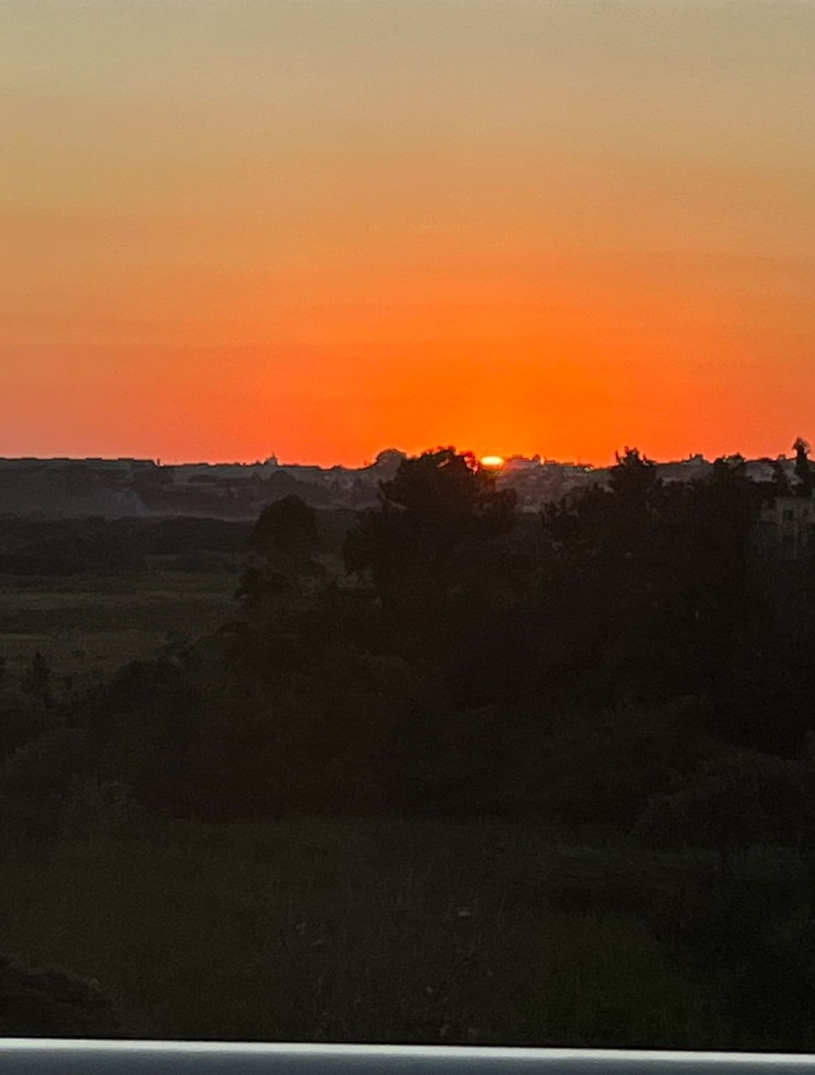 A vibrant sunset is depicted, casting warm orange and yellow hues across the sky. Silhouetted trees and distant hills frame the scene, creating a tranquil backdrop that highlights the natural beauty of the surroundings.