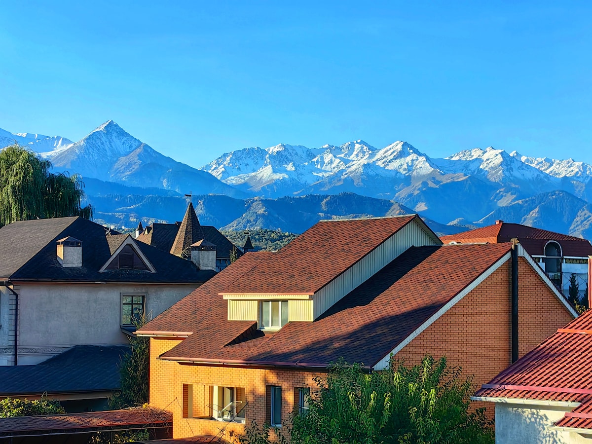 Snow-capped mountains are visible in the background, contrasting with a clear blue sky. In the foreground, a combination of residential rooftops showcases varied architectural styles, with a prominent brick structure and multiple gabled roofs.