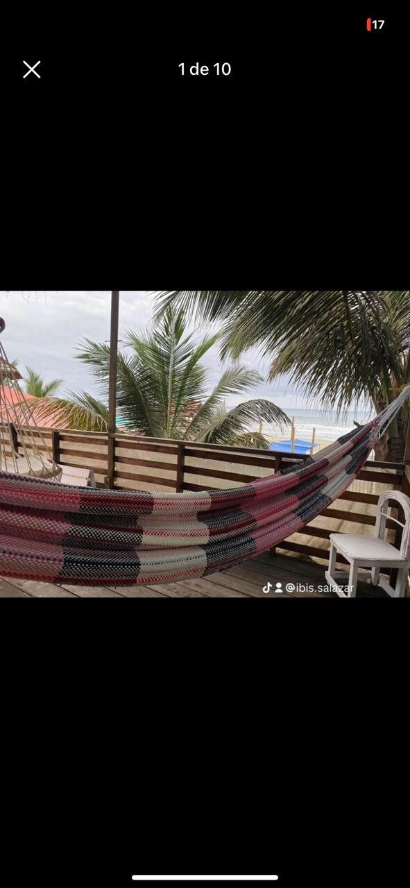 A colorful hammock is suspended on a wooden deck, gently swaying among palm trees. Nearby, a simple white chair is positioned, and a view of the ocean is visible in the background, framed by lush greenery and a cloudy sky.