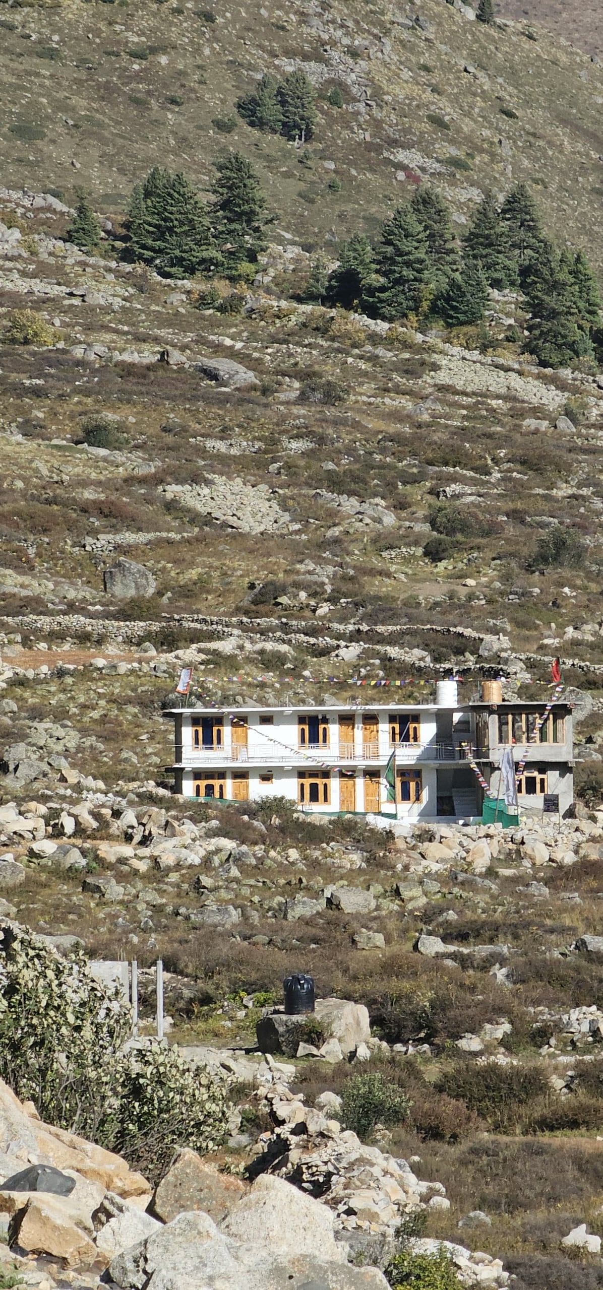 A two-story homestay building is nestled among rocky terrain and greenery, showcasing a combination of wooden and stone exterior materials. Nearby trees are visible on the hillside, with the serene mountain landscape providing a picturesque backdrop.