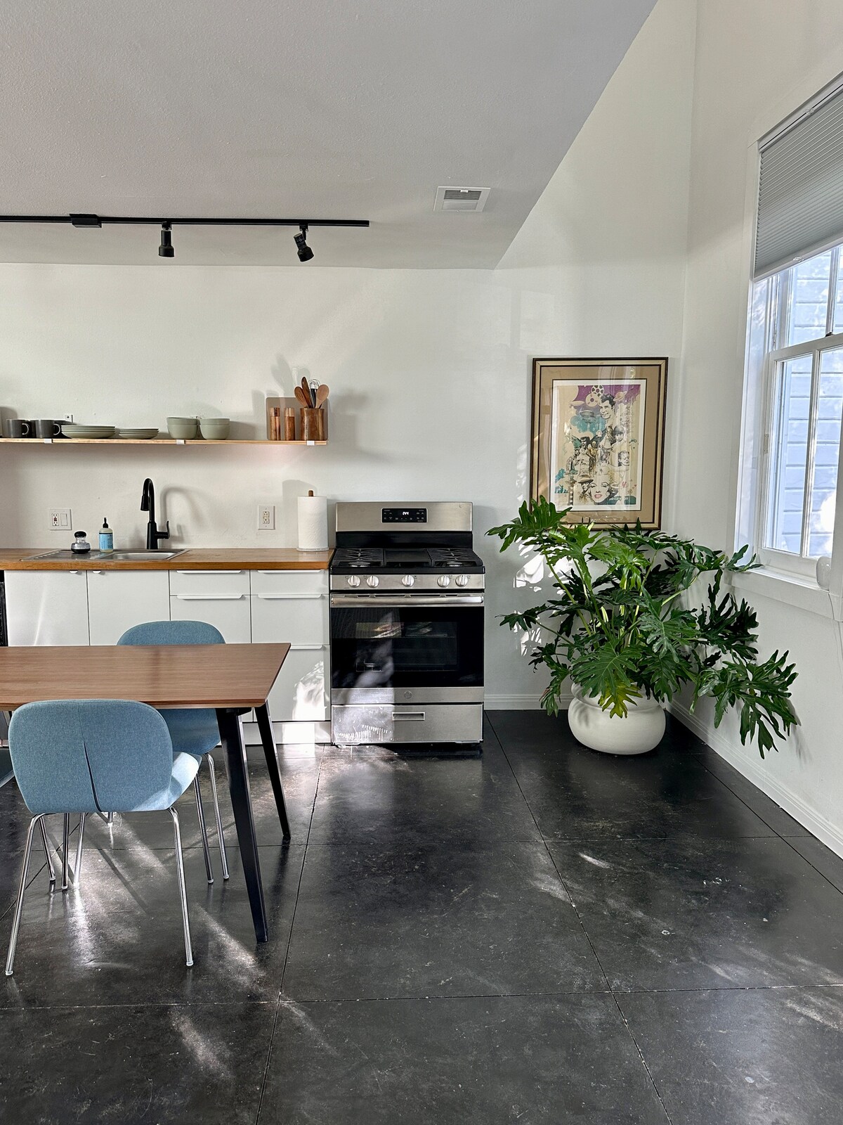 Hackberry Studio