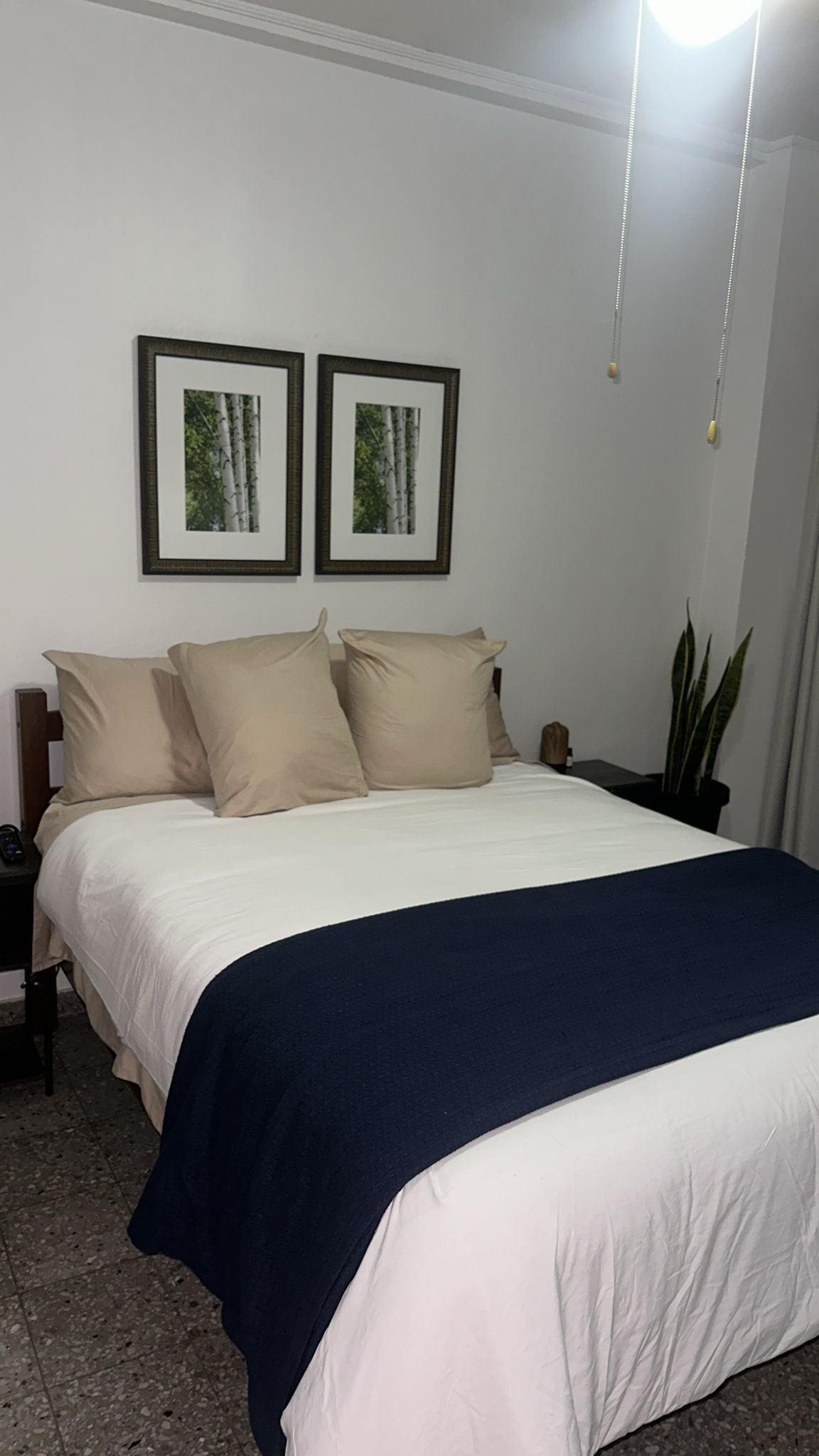 A minimalist bedroom features a spacious bed dressed in white linens and a navy throw. Two framed prints of trees adorn the white wall above the bed. A small plant is placed next to the bed, adding a touch of greenery to the serene space.