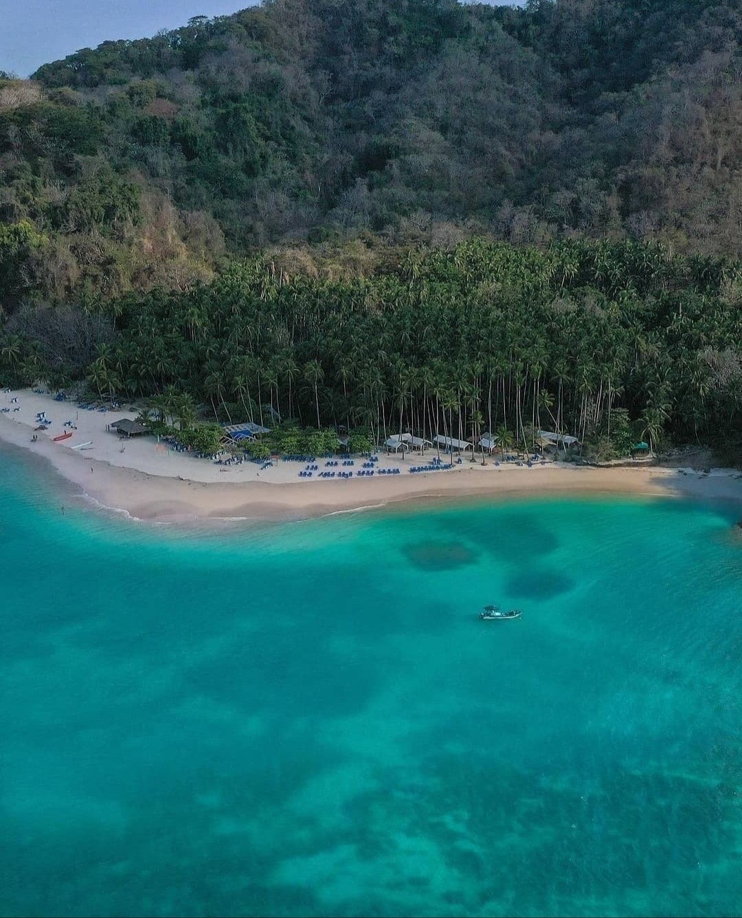 A serene beach scene showcases a stretch of soft sand lined with lounge chairs under palm trees. The clear turquoise waters gently lap at the shore, with a small boat visible in the distance. Lush greenery rises from the hillside behind the beach.