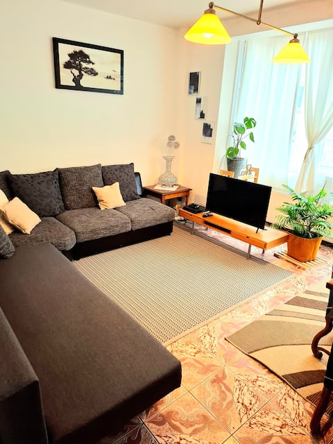 Top performing Airbnb: Apartment in Etterbeek in Etterbeek