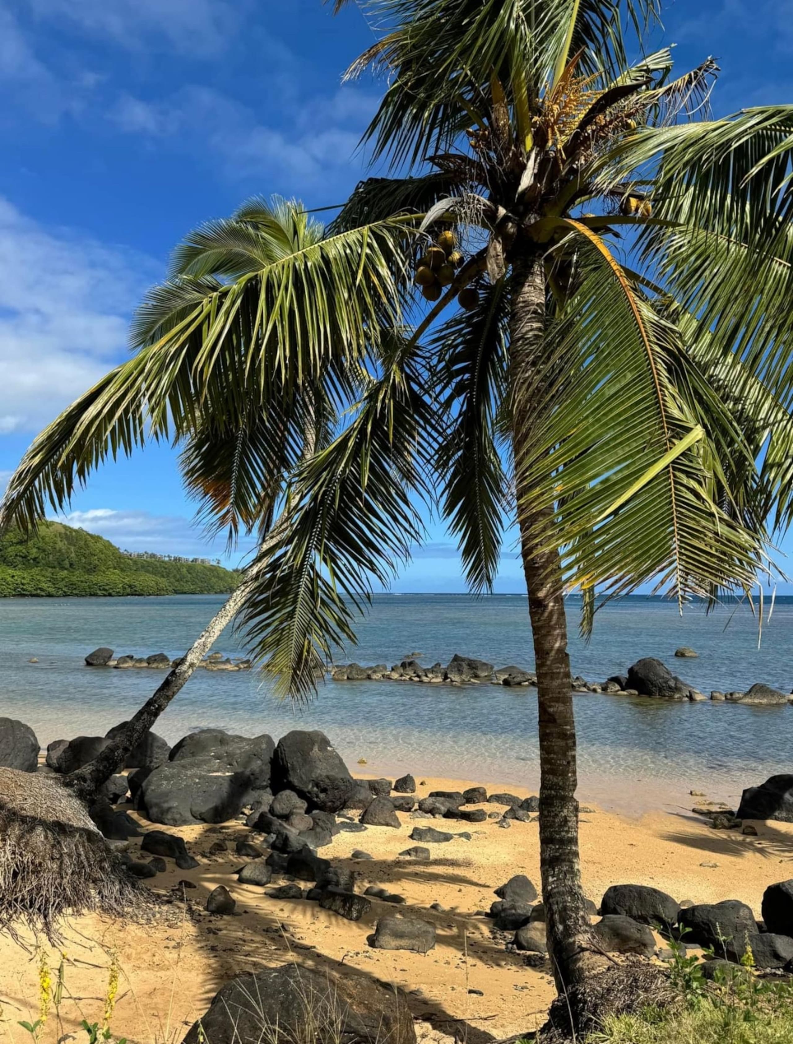 Condo in Lihue · ★4.94 · 2 bedrooms · 3 beds · 2 private baths - Image 40