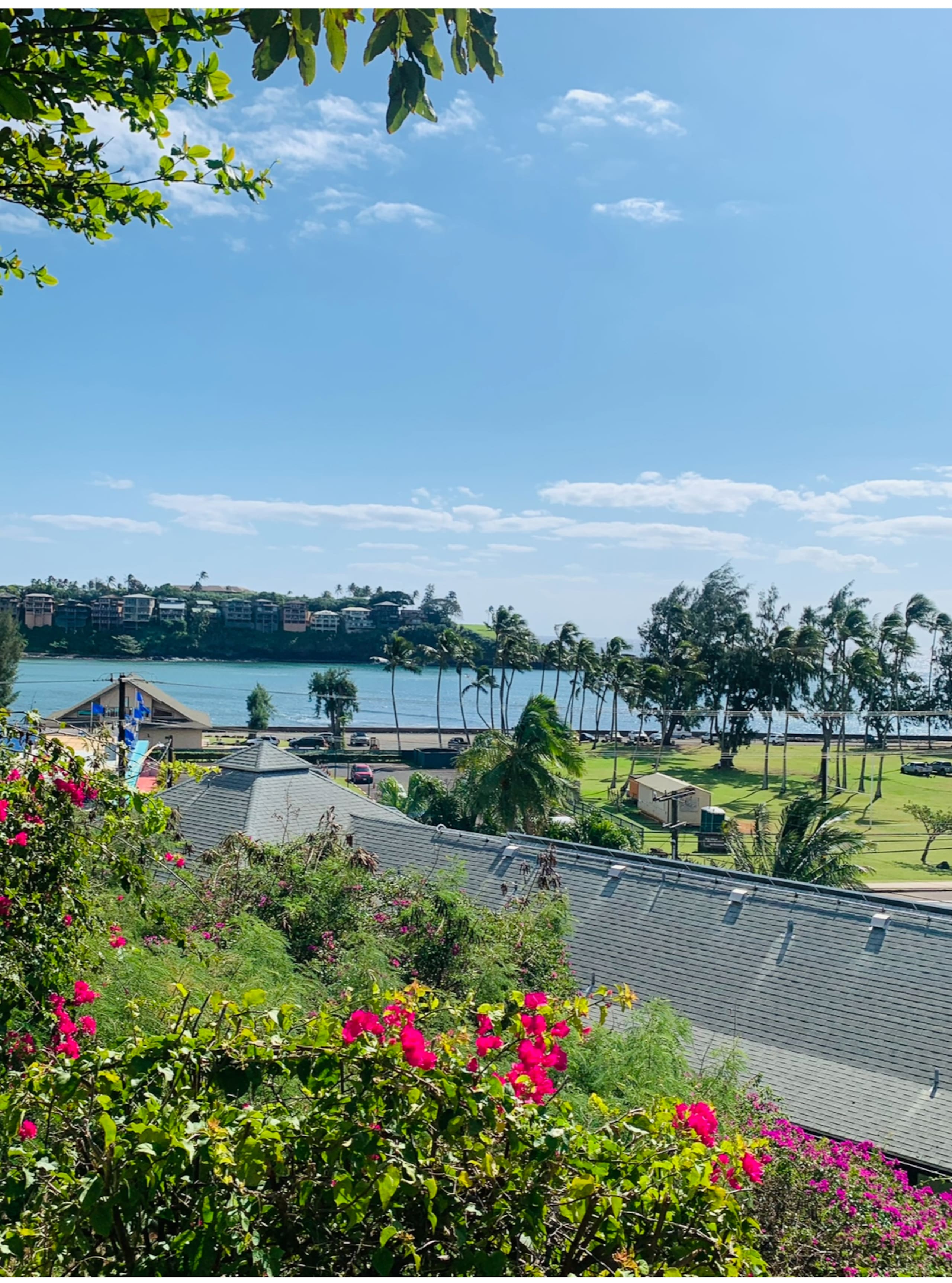 Condo in Lihue · ★4.94 · 2 bedrooms · 3 beds · 2 private baths - Image 33